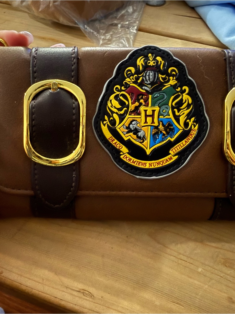 Brown Women's Wallet with Gold Hardware and Crest Patch